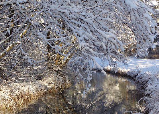 Pejzarz zimowy z wodą fot. G. Sadowska grafika