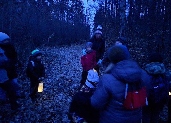 Uczestnicy wsłuchani w nocne odgłosy lasu. fot. Maja Greinke grafika