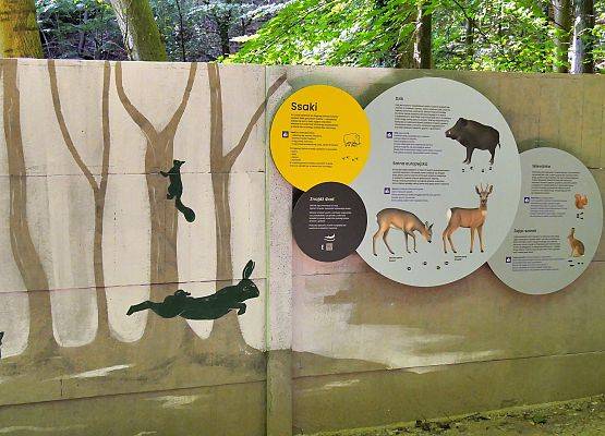 na zdjęciu mural i tablice przestawiające ssaki Parku (fot. Dariusz Ożarowski) grafika