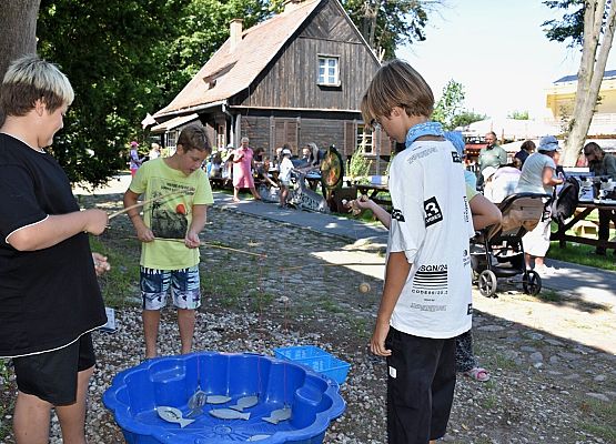 Co w naszym morzu pływa, czyli "łowienie" wiedzy na temat bałtyckich gatunków ryb