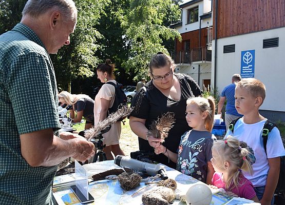 Ptasie opowieści: Coś o ptasich  gniazdach, jajkach i piórach