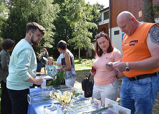 Z pamiętnika botanika - Rośliny chronione w Nadmorskim Parku Krajobrazowym