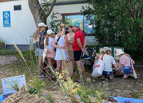 Z pamiętnika botanika - Ekspozycja nadmorskiej wydmy z charakterystycznymi gatunkami