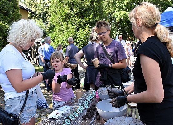 "Kwietne bomby" do przydomowego ogródka