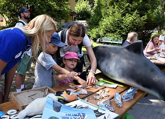 Stoisko o ssakach Bałtyku i nadmorskich ptakach