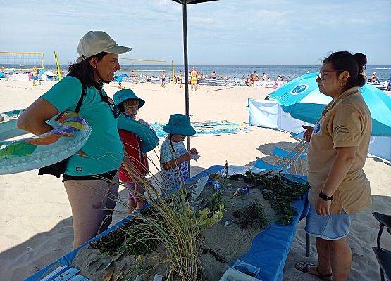 Piknik na plaży: Zanim popływamy o nadmorskiej wydmie porozmawiamy :)