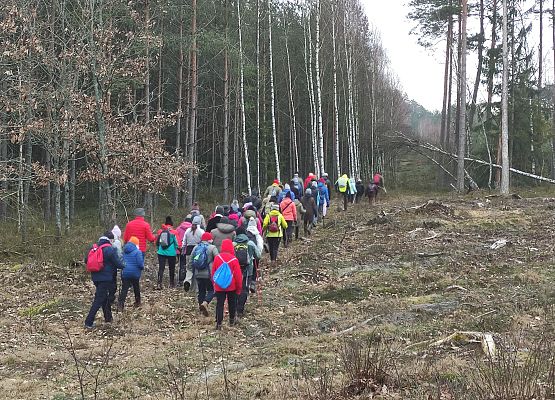 Za zdjęciu grupa około 40 osób idących skrajem lasu.