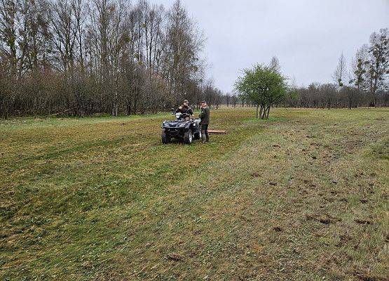 Usuwanie wojłoku na łące położonej na wyspie.