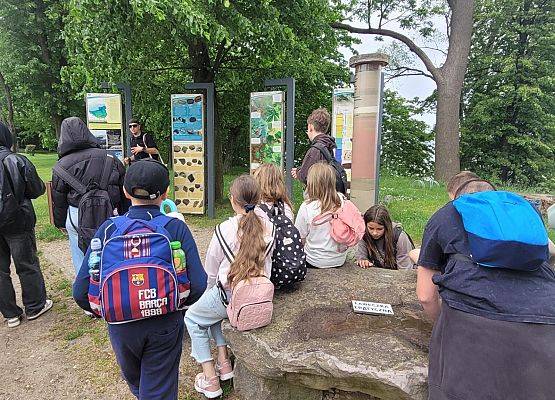 Uczestnicy akcji przy tablicach edukacyjnych dotyczących zlodowacenia, na pierwszym planie głaz narzutowy