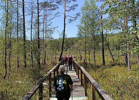 Fotorelacja z XIV Rajdu Ekoturystycznego. Na zdjęciach uczestnicy rajdu na trasach pieszych i rowerowych.