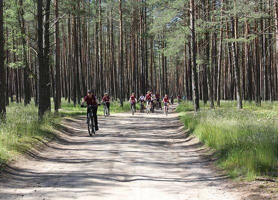 Fotorelacja z XIV Rajdu Ekoturystycznego. Na zdjęciach uczestnicy rajdu na trasach pieszych i rowerowych.