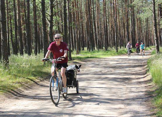 Fotorelacja z XIV Rajdu Ekoturystycznego. Na zdjęciach uczestnicy rajdu na trasach pieszych i rowerowych.