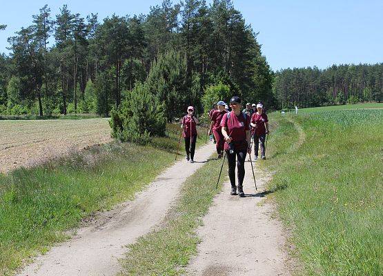 Fotorelacja z XIV Rajdu Ekoturystycznego. Na zdjęciach uczestnicy rajdu na trasach pieszych i rowerowych.