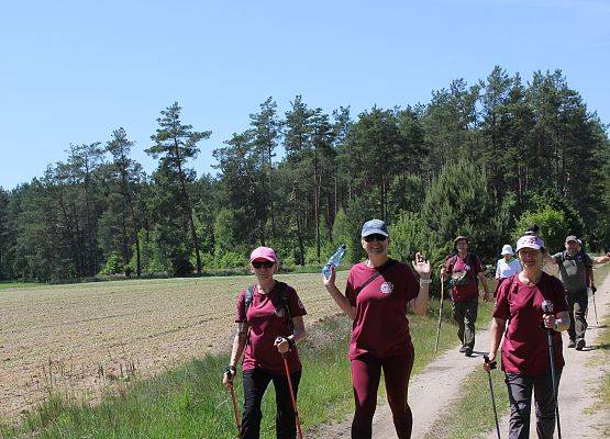 Fotorelacja z XIV Rajdu Ekoturystycznego. Na zdjęciach uczestnicy rajdu na trasach pieszych i rowerowych.