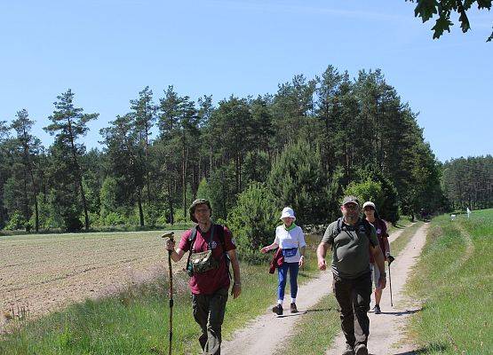 Fotorelacja z XIV Rajdu Ekoturystycznego. Na zdjęciach uczestnicy rajdu na trasach pieszych i rowerowych.