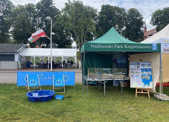 Stoisko edukacyjne z gablotami przedstawiającymi rośliny wydmowe w piasku i tablicą informacyjną z pytaniem 'Jaka to roślina?'