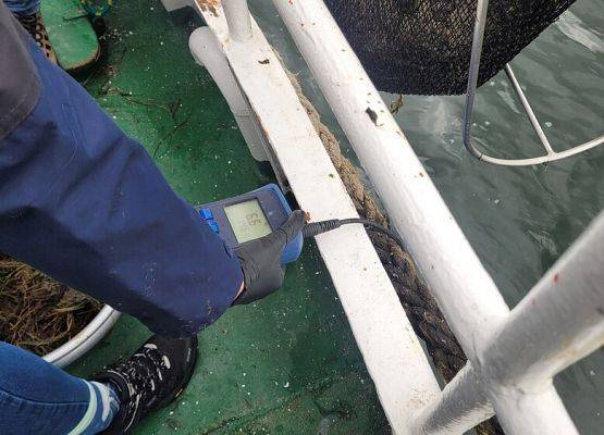 Urządzenie do badania właściwości wody trzymane w ręku, czujnik (na kablu) zanurzony w wodzie.