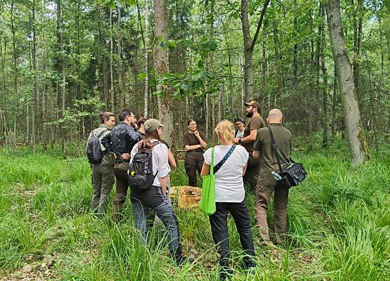 Dyskusja o kwaśnej dąbrowie (Fot. Hanna Kruk) Grupa ludzi dyskutuje w lesie