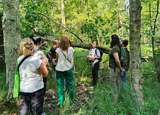 Zajęcia lichenologiczne Grupa osób w lesie na pierwszym planie, na drugim planie prowadząca opowiada o porostach (Fot. Hanna Kruk)