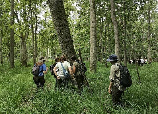 Nasze warsztaty (Fot. Jolanta Bulak) Dwie grupy ludzi w oddaleniu od siebie na zajęciach w lesie