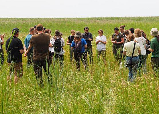 Zajęcia na łące (Fot. Jan Wilkanowski) Uczestnicy warsztatów na łące w pełnym słońcu