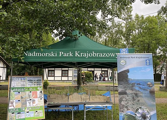 Grafika Piknik Bałtycki - Bezpieczne Fale Przygody