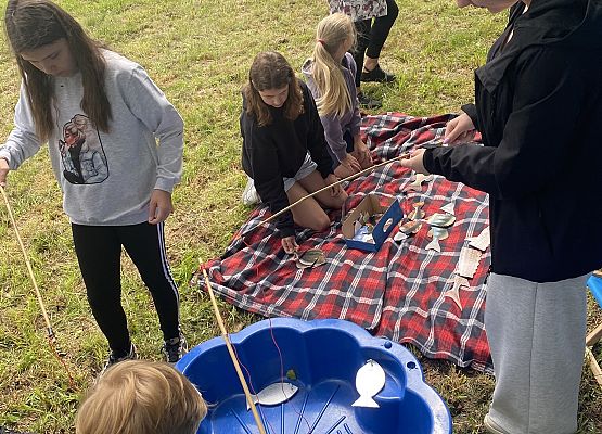 Grafika Piknik Bałtycki - Bezpieczne Fale Przygody