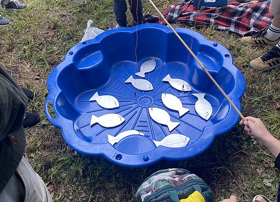 Grafika Piknik Bałtycki - Bezpieczne Fale Przygody