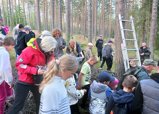Ludzie stojący wśród drzew o jedno z nich oparta jest drabina.