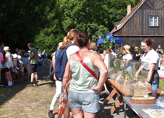 Kilka osób ogląda makietę, edukator opowiada o cechach roślin wydmowych. W tle uczestnicy przy innych stoiskach