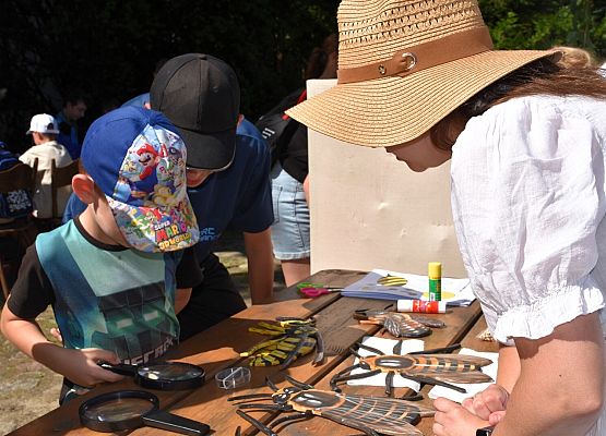 Chłopiec z tatą ogląda przez lupę pszczołę. Na stole duże modele kilku gatunków pszczół