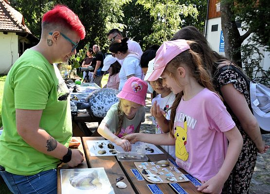 Psani i 3 dziewczynki oglądają  muszle Bałtyckich małży i ślimaków