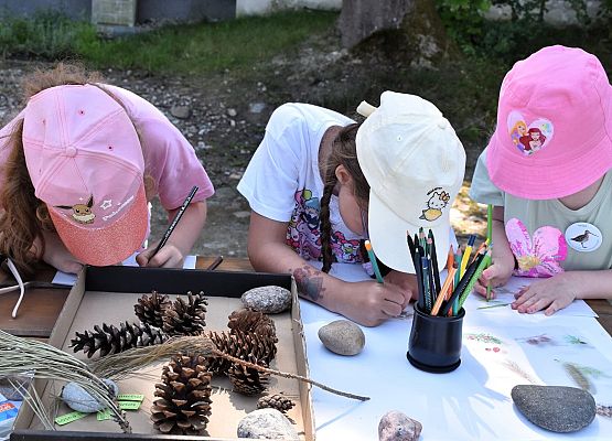 3 dziewczyni kolorują igły i szyszki. Na stole są też szyszki kilku gatunków drzew
