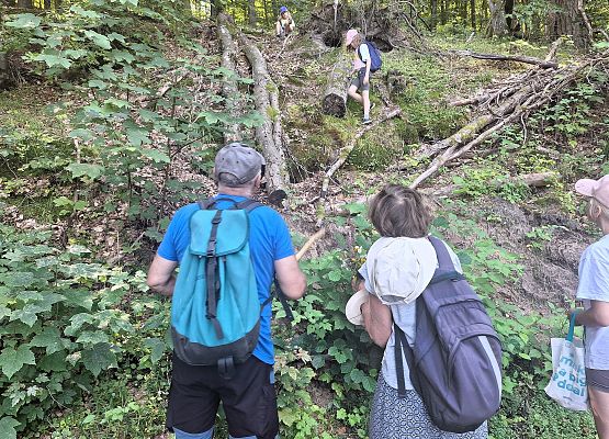 Ludzie wspinają się po stromym, zalesionym zboczu podczas wędrówki.