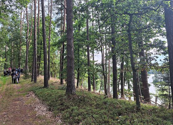 Ludzie spacerują leśną drogą obok jeziora.