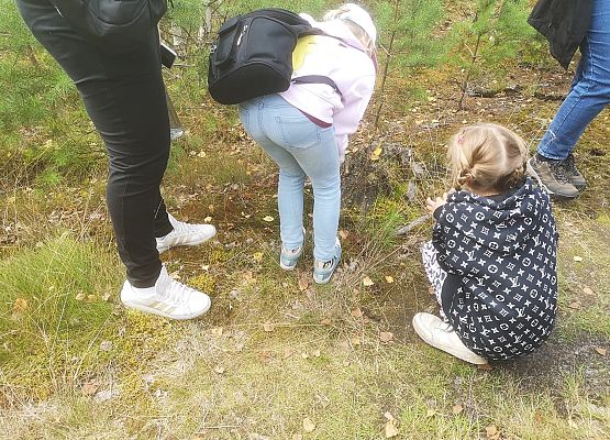 Dzieci badają leśne podłoże podczas edukacyjnej wyprawy.