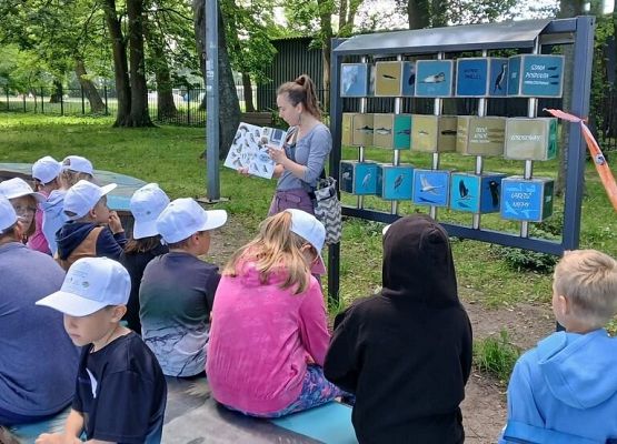 Grupa ok 10 od w Puckim parku miejskim