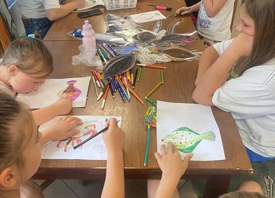 Dzieci na sali kolorują zwierzęta Bałtyku