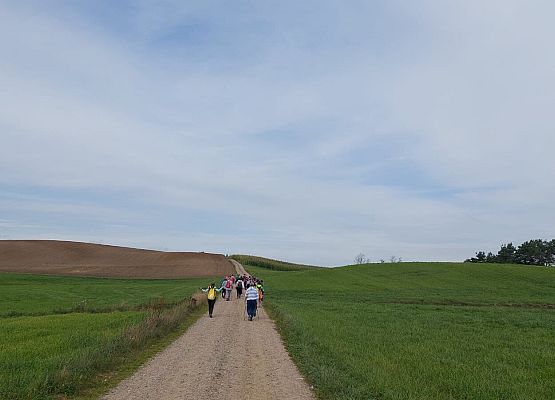 Spacer z okazji Dnia Parków Krajobrazowych „W poszukiwaniu archeofitów” fot. Karolina Rozmarynowska Droga wśród łąk. Na jej końcu uczestnicy spaceru.
