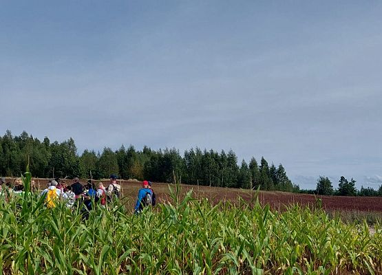 Spacer z okazji Dnia Parków Krajobrazowych „W poszukiwaniu archeofitów” fot. Karolina Rozmarynowska Pola kukurydzy. Wsród nich uczestnicy spaceru.
