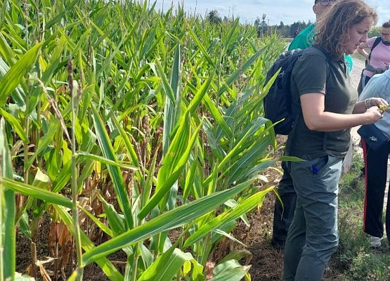 Spacer z okazji Dnia Parków Krajobrazowych „W poszukiwaniu archeofitów” fot. Karolina Rozmarynowska Przewodniczka trzymająca w dłoni różne gatunki roślin, o których opowiada.