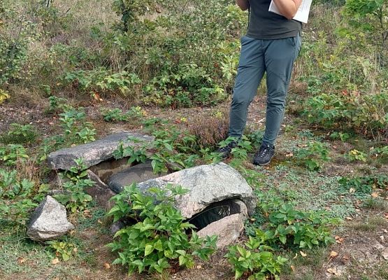 Spacer z okazji Dnia Parków Krajobrazowych „W poszukiwaniu archeofitów” fot. Karolina Rozmarynowska Przewodniczka przy kamiennym grobie skrzynkowym wykonanym z płaskich płyt kamiennych.