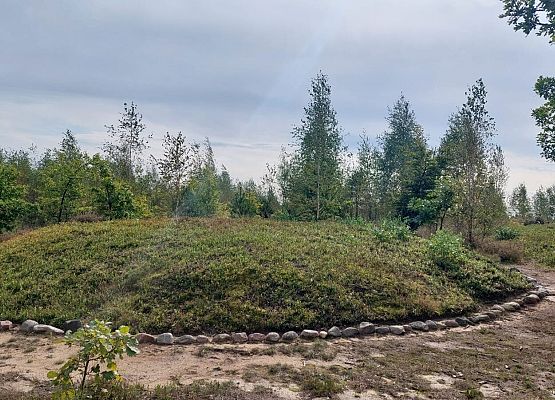 Spacer z okazji Dnia Parków Krajobrazowych „W poszukiwaniu archeofitów” fot. Karolina Rozmarynowska Kurhan z kręgiem kamiennym. Nasyp ziemi otoczony głazami.