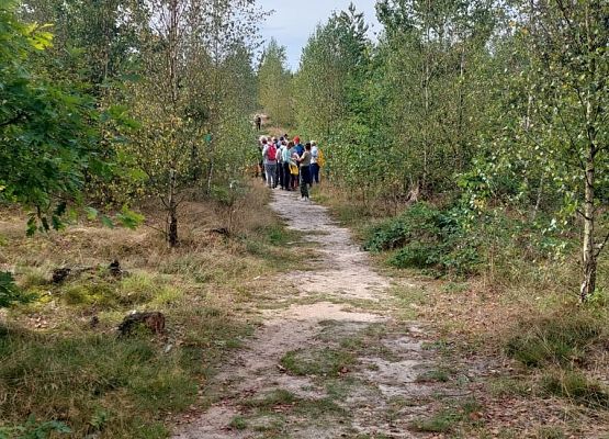 Spacer z okazji Dnia Parków Krajobrazowych „W poszukiwaniu archeofitów” fot. Karolina Rozmarynowska Droga w lesie, na jej końcu grupa ludzi - uczestników spaceru.
