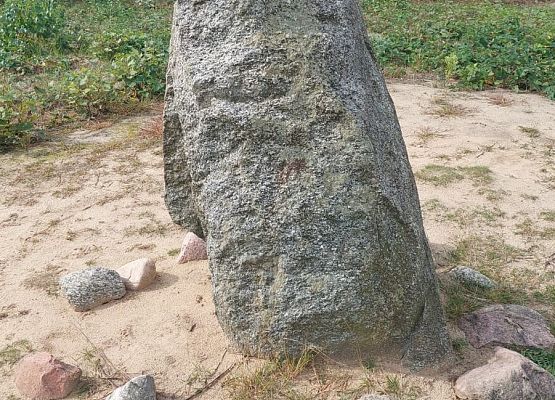Spacer z okazji Dnia Parków Krajobrazowych „W poszukiwaniu archeofitów” fot. Karolina Rozmarynowska Stela kamienna.