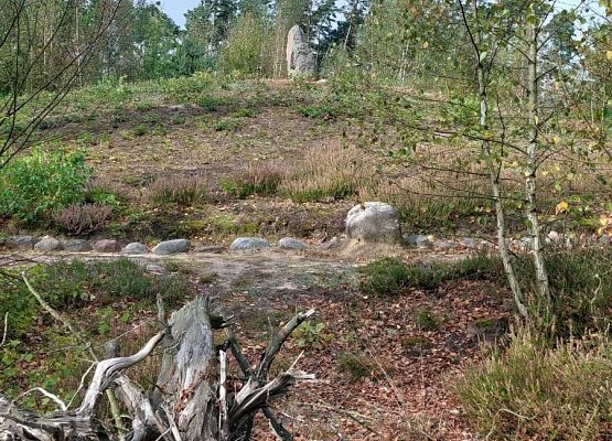 Spacer z okazji Dnia Parków Krajobrazowych „W poszukiwaniu archeofitów” fot. Karolina Rozmarynowska Krąg kamienny ze stojąca na szczycie kamienną stelą - dużym głazem w zarycie przypominającym ludzką twarz.