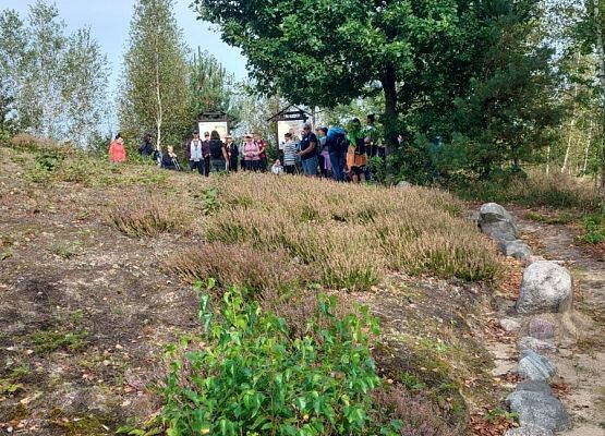 Spacer z okazji Dnia Parków Krajobrazowych „W poszukiwaniu archeofitów” fot. Karolina Rozmarynowska Kurhan z kręgiem kamiennym. Nasyp ziemi otoczony głazami.