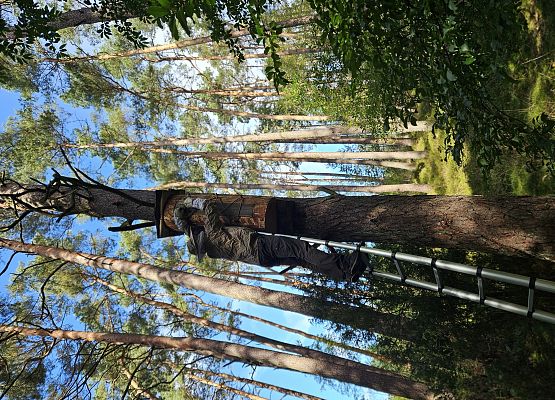 Dokarmianie zakończone, przed zimą jeszcze tylko uszczelnianie kłody. fot. Karol Libera Zamknięta kłoda po ostatnim dokarmianiu, przed zimą konieczne uszczelnienie.