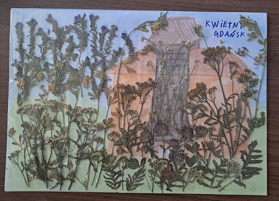 Wyróżnienie Grafika Wyniki konkursu „Łąka jak z obrazka – zielnik rodzinny”