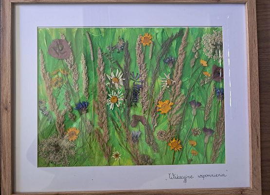 Wyróżnienie Grafika Wyniki konkursu „Łąka jak z obrazka – zielnik rodzinny”